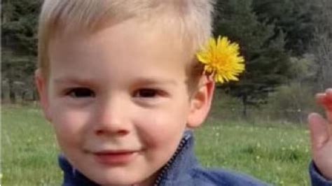 emile frankrijk update|Emile Soleil: How skull of toddler who went missing。